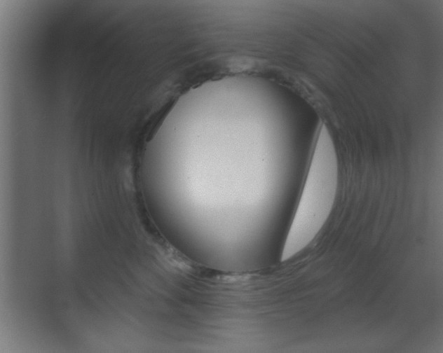 X0000070200524200605261039