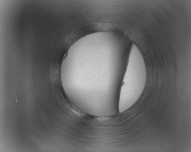 X0000070200526200605261039