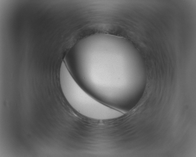 X0000070200528200605261039