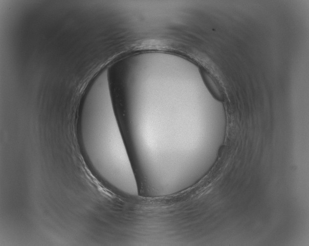 X0000070200529200605261038