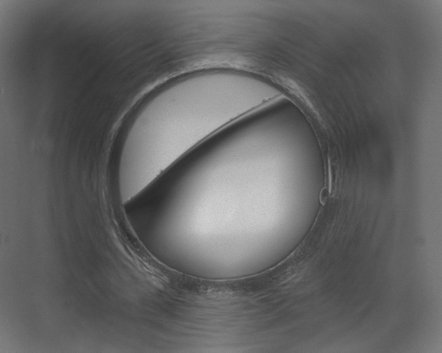 X0000070200531200605261038