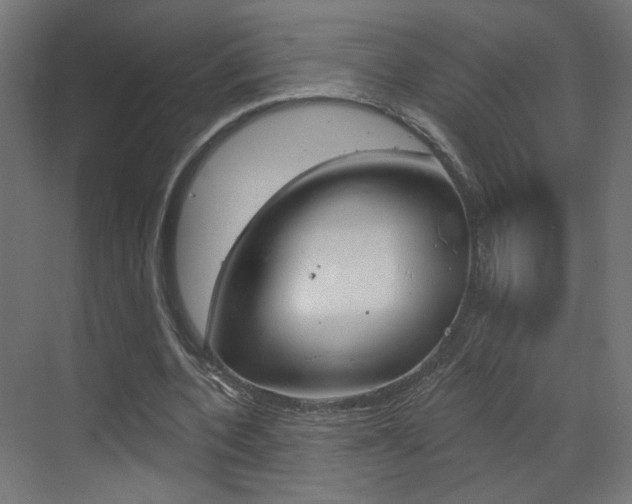 X0000070200532200605261038