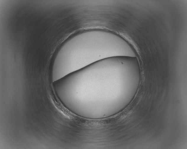 X0000070200533200605261038