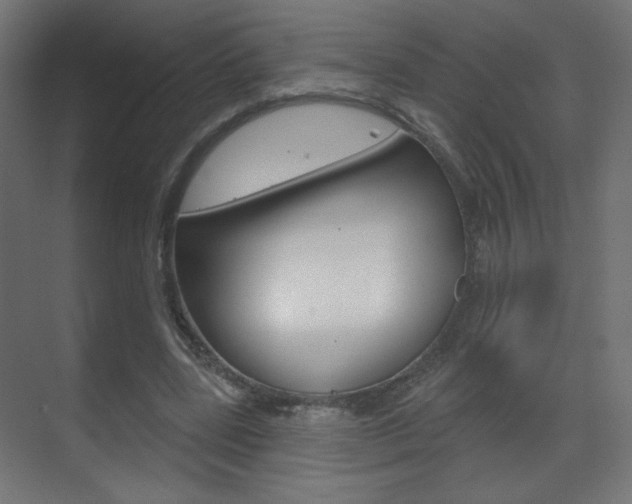 X0000070200539200605261038