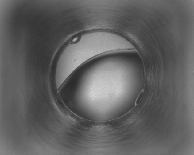 X0000070200540200605261038