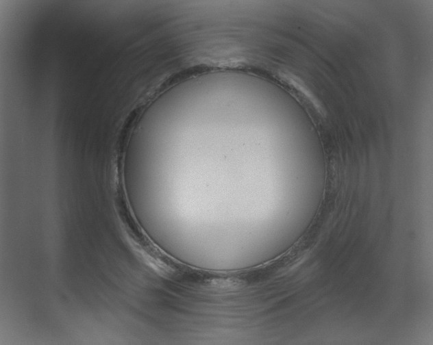 X0000070200541200605261038