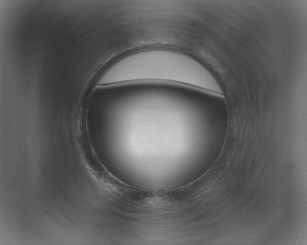X0000070200544200605261039