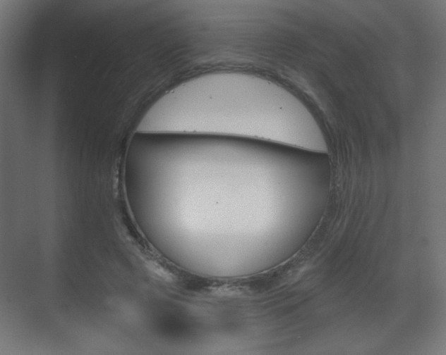 X0000070200545200605261039