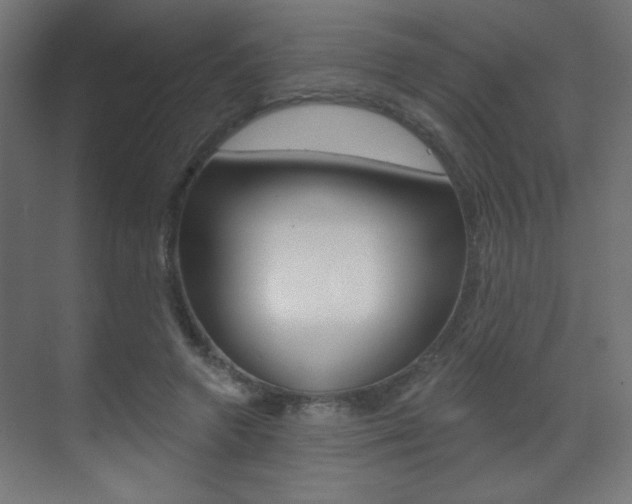 X0000070200546200605261039