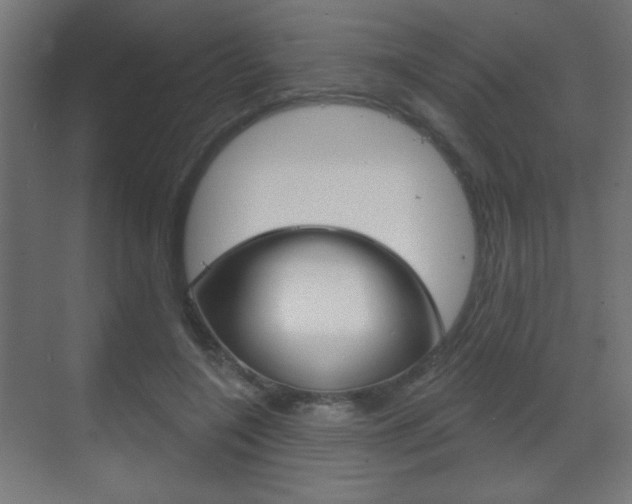 X0000070200548200605261039
