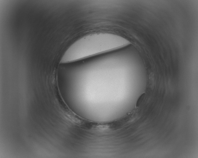 X0000070200554200605261039