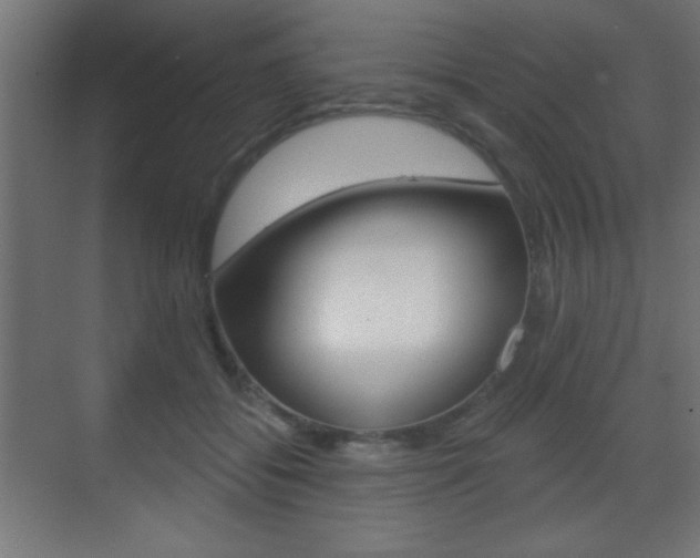 X0000070200556200605261039