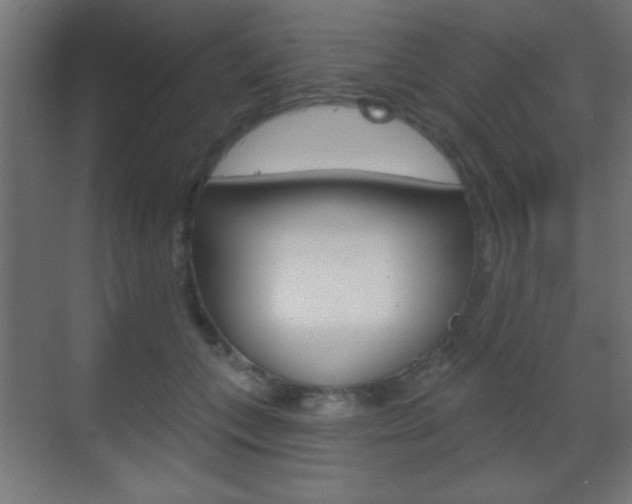 X0000070200559200605261039