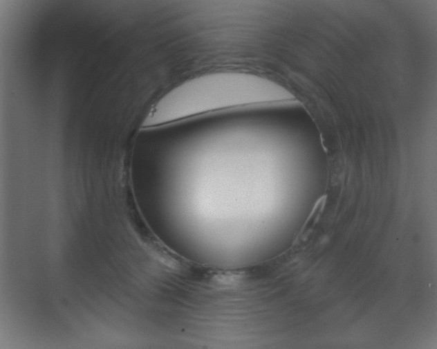 X0000070200560200605261039