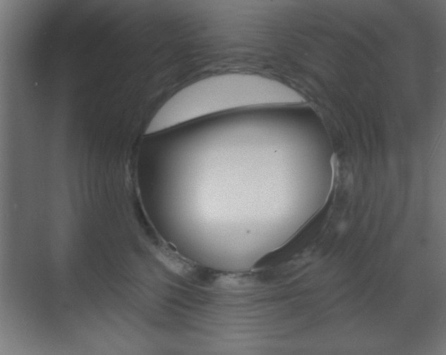 X0000070200568200605261039
