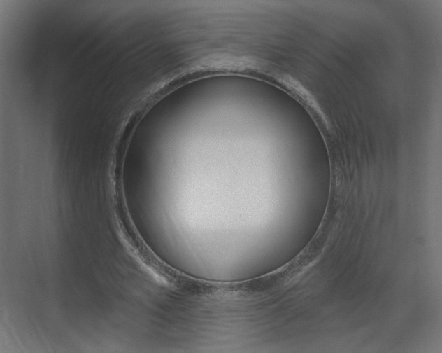 X0000070200581200605261038