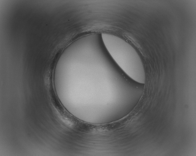X0000070200586200605261038