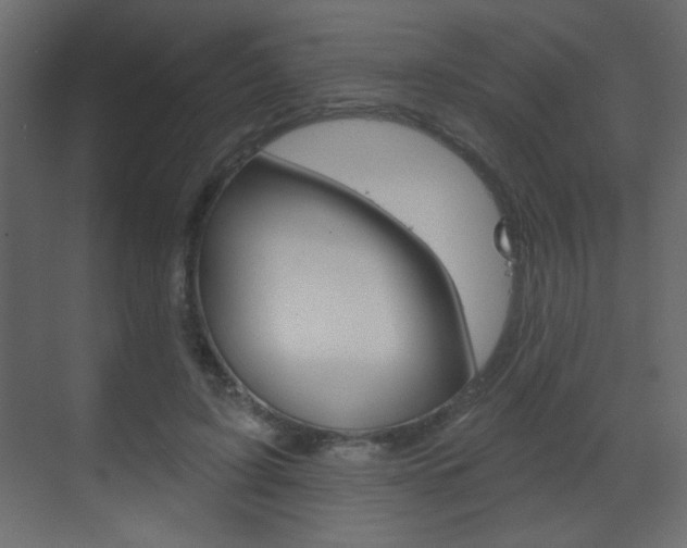 X0000070200595200605261038