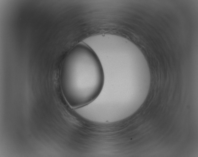 X0000070200605200605261038