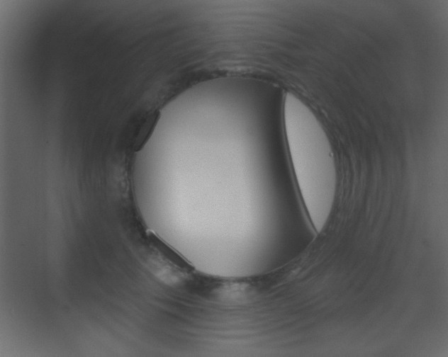 X0000070200609200605261038