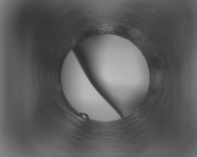X0000070200614200605261038