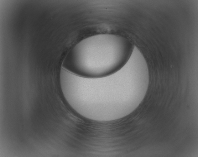 X0000070200616200605261038