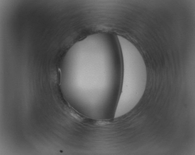 X0000070200617200605261038