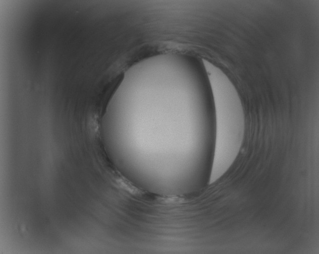 X0000070200621200605261038
