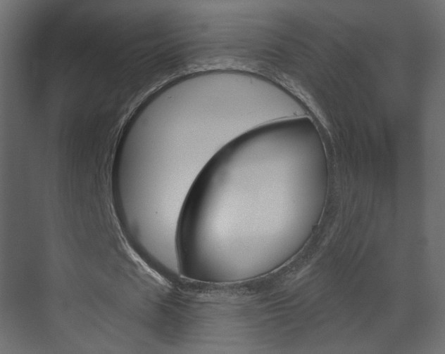 X0000070200625200605261037