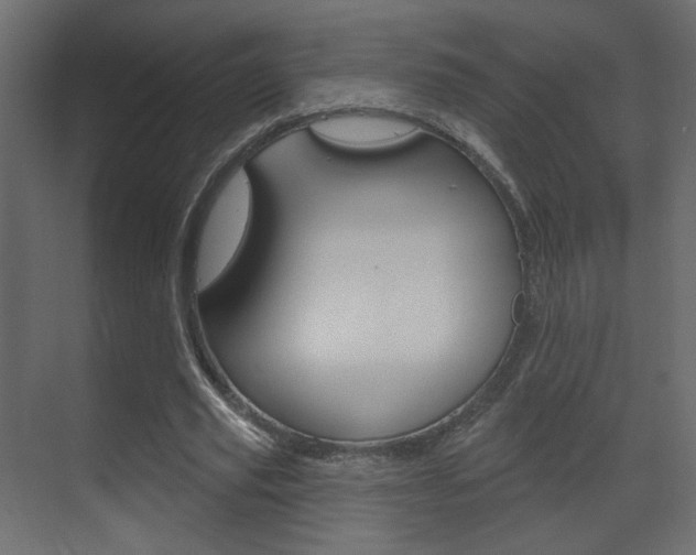 X0000070200629200605261037