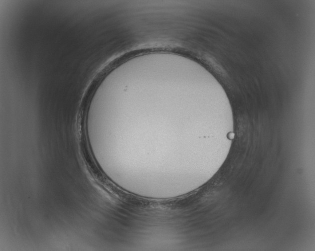 X0000070200632200605261037