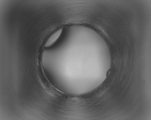 X0000070200635200605261037
