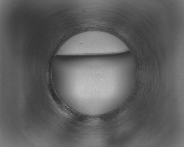 X0000070200642200605261037
