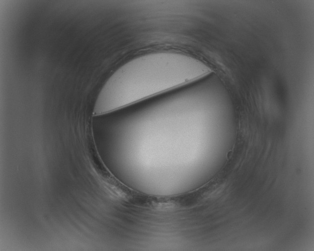 X0000070200645200605261037
