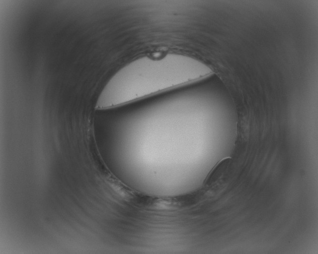 X0000070200657200605261037