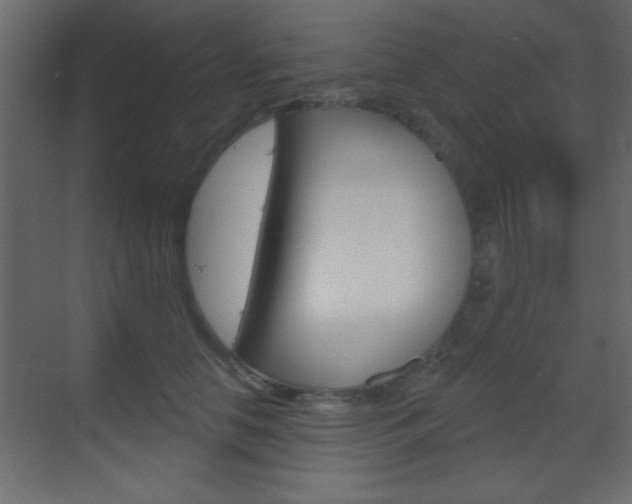 X0000070200658200605261037