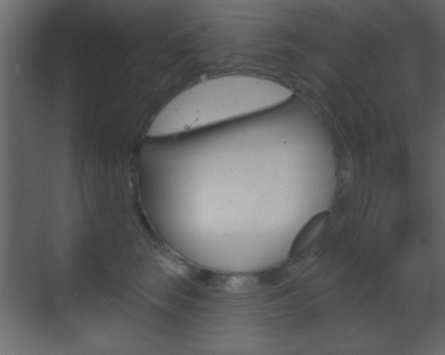 X0000070200663200605261037