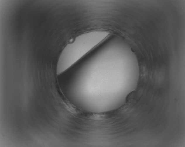 X0000070200664200605261037