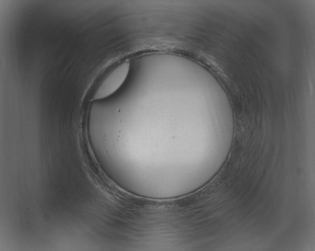 X0000070200679200605261037