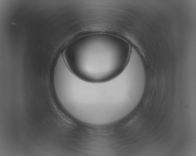 X0000070200681200605261036