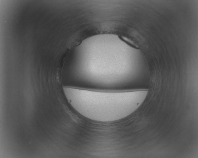 X0000070200715200605261036