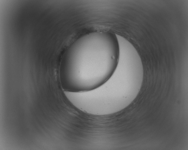 X0000070200716200605261036