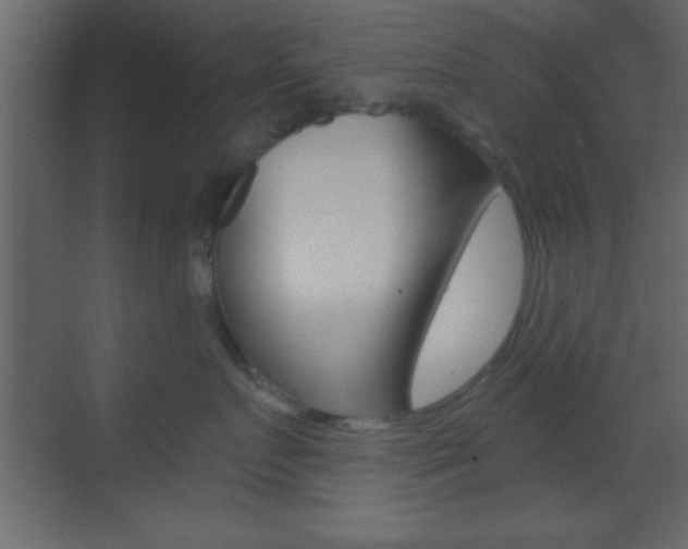 X0000070200719200605261036