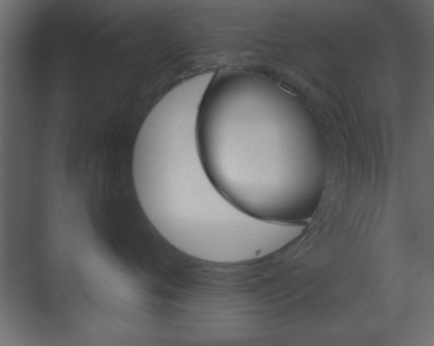 X0000070200720200605261036