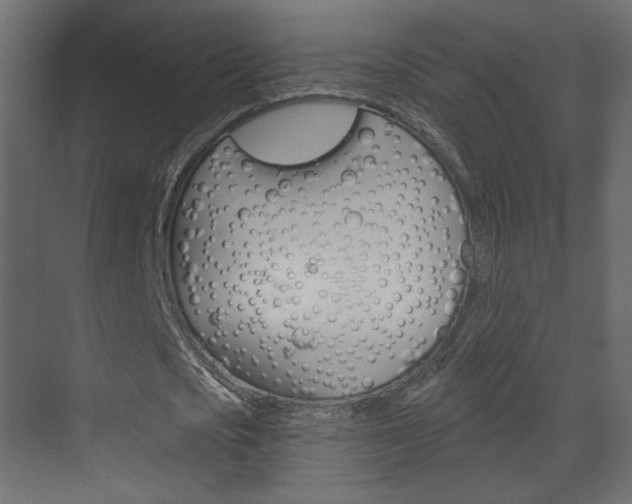 X0000070200721200605261035