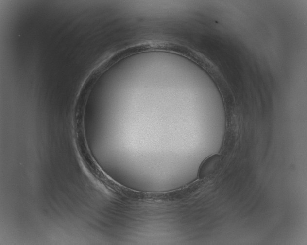 X0000070200730200605261035