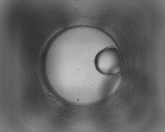 X0000070200731200605261035