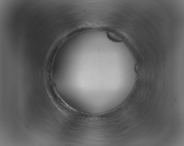 X0000070200736200605261035