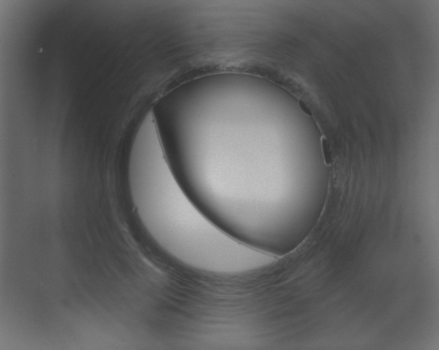 X0000070200740200605261035