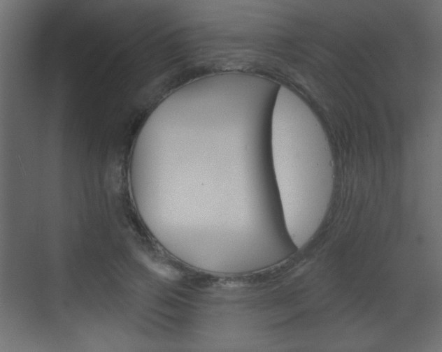 X0000070200741200605261035
